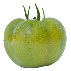 Tomatillo